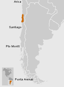 Ubicación de Las Ánimas