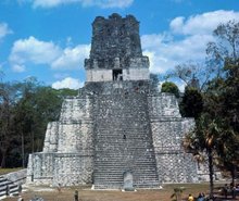 Maya