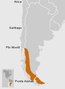 Ubicación de Cazadores Terrestres del Extremo Sur de Chile