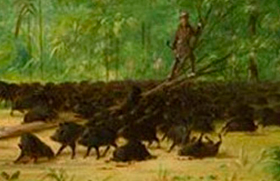 George Catlin: pinturas de Sudamérica