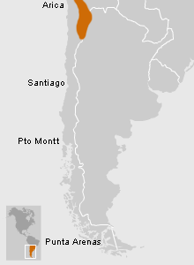 Ubicación de Cazadores Recolectores de la Puna