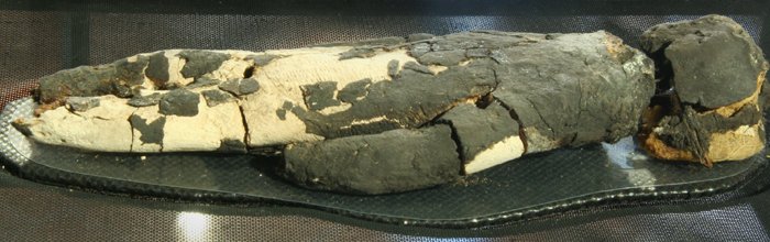 La conservación de los muertos en Chinchorro