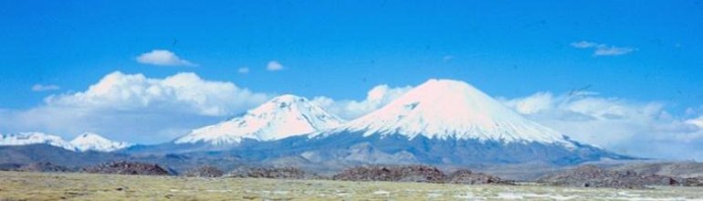 Tilocalar