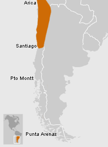 Ubicación de El Inka en Chile