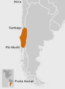 Ubicación de Cazadores Recolectores de Chile Centro-Sur