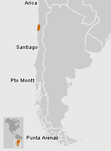 Ubicación de Copiapó