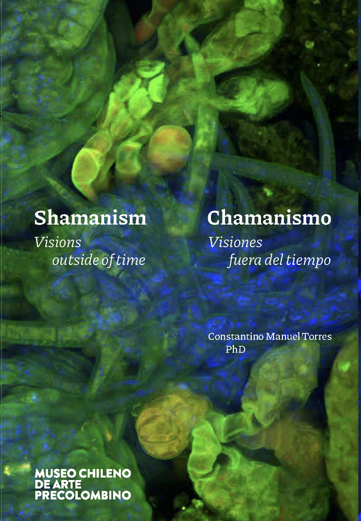 Chamanismo, visiones fuera del tiempo