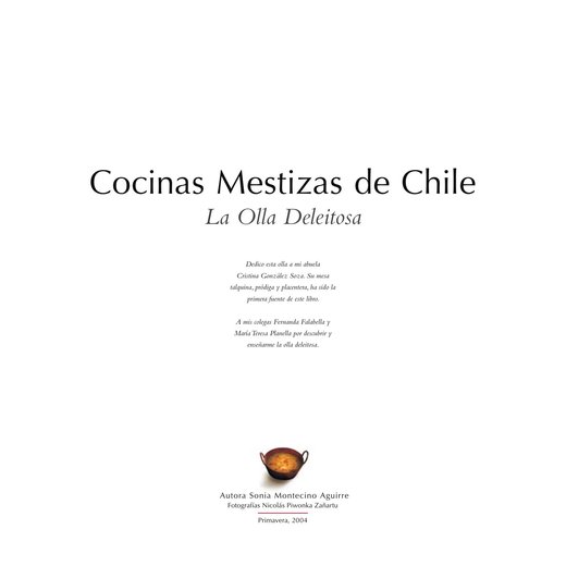 Cocinas mestizas