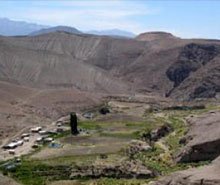 Arica