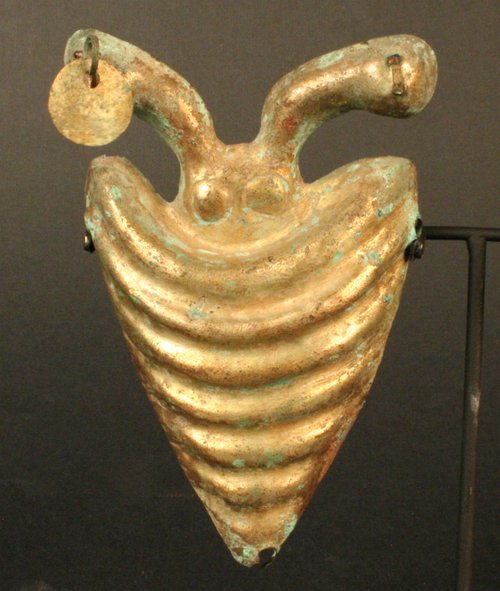 Ornamento: caracol