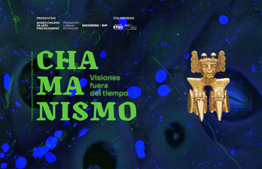 Chamanismo, visiones fuera del tiempo