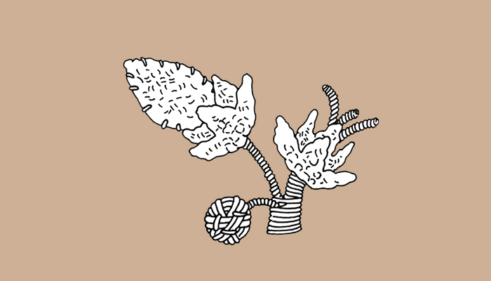 Representación de maíz (Dibujo, Brugnoli et al. 1997: Fig. 23