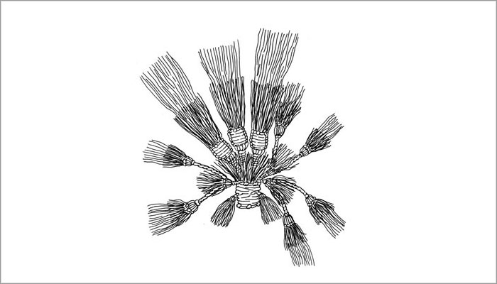Aplicación: Borla compleja (Dibujo, Brugnoli et al. 1997: Fig.11).