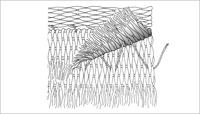 Terminación: Flecadura por trama. Realizada por capas (Dibujo, Brugnoli et al. 1997: Fig.25)