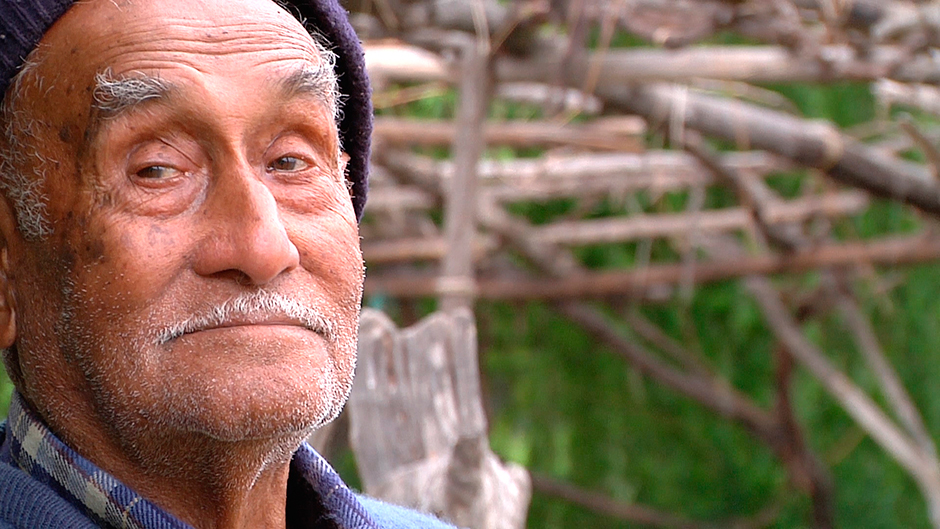 Don Pedro Olivares Taucan