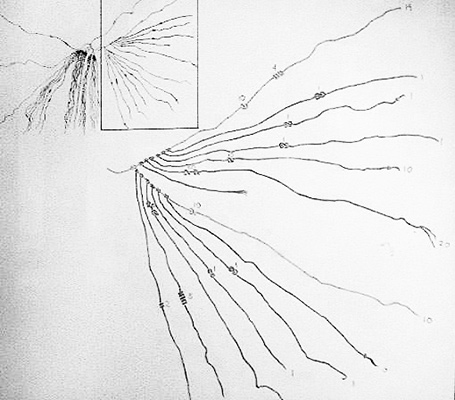 Ejemplo de lectura de los valores de dos Cordeles Colgantes de un <em>quipu</em>. Los dos cordeles tienen Nudos Simples en la posición de las decenas, Nudos Largos y Nudos en Forma de Ocho en la posición de las unidades. Totalizan el valor 47 en el primer cordel y 30 en el segundo. Dibujo, José Pérez de Arce.