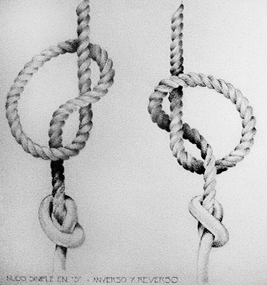 Nudo Simple, en dirección S y Z. Indica las decenas, centenas, millares y decenas de millares, dependiendo donde se ubica en la cuerda. Dibujo, José Pérez de Arce.