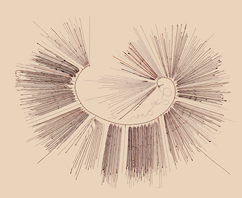 <em>Quipu</em>. Fibra de camélido. Mollepampa, valle de Lluta, Arica. Museo Chileno de Arte Precolombino, 0780. Fotografía, Fernando Maldonado R.