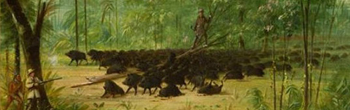 George Catlin: pinturas de Sudamérica 1989