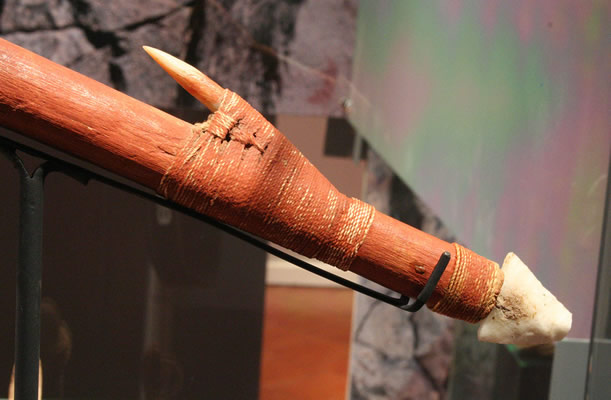 Cabezal de arpón con punta lítica,línea y flotador .Madera,sílice, hueso,tiento y cuero de lobo marino. Costa de !quique – Pescadores Tardíos. Colección Museo Regional de lquique.