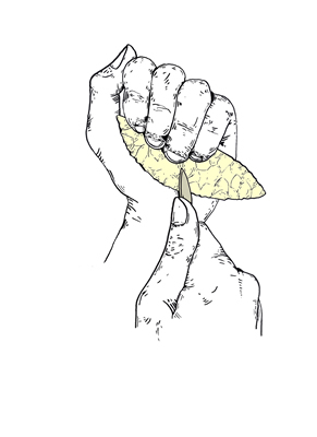 Elaboración de una hoja lítica mediante tallado a presión (dibujo Alex Olave).