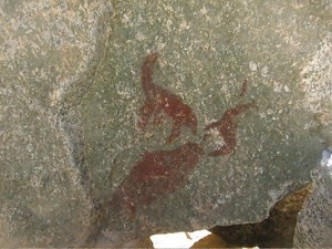 Escena de lobos marinos {foto F. Maldonado).