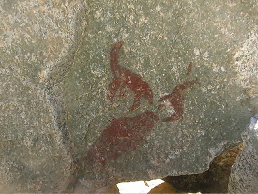 Escena de lobos marinos {foto F. Maldonado).