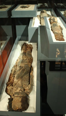 Momia «negra» de adulto. Recubierta con ceniza y arcilla , peluca de cabello humano. Costa de Ar ica – Pescadores Tempranos. Complejo Chinchorro 5500 – 2000 a.c. Colección Museo de Historia Natural, Valparaíso.