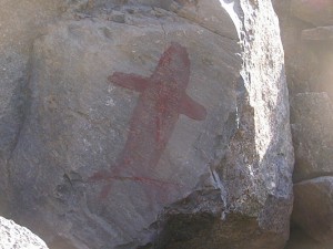 Cetáceo (foto F. Maldonado).