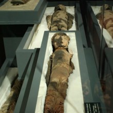 Momia "negra" de adulto. Recubierta con ceniza y arcilla, peluca de cabello humano. Costa de Arica - Pescadores Tempranos. Complejo Chinchorro 5500 - 2000 a.c. Colección Museo de Historia Natural, Valparaíso.