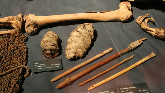 a) Cabezal de arpón para peces. Hueso de mamífero marino,espinas de cactus y algodón. b) Asta de arpón para peces.Madera. c) Cánula desangradora. Hueso de ave. d) Rollos. Fibra vegetal torcida. Pescadores Tardíos 100 – 500 d.C. Colección Museo Histórico Natural de Mejillones.
