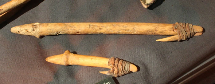 Cabezales de arpón para mamífero. Hueso de mamífero marino, barba de hueso, fibras de algodón y alga. Pescadores Tardíos 100 – 500 d,C. Colección Museo Histórico Natural de Mejillones.
