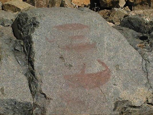 Escena de cetáceos, probablemente cachalotes (foto J . Berenguer).