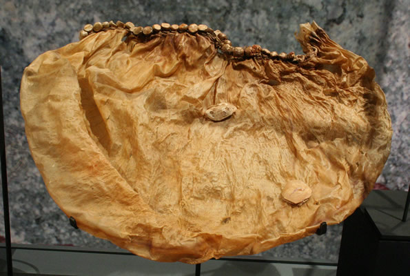 Flotador .Cuero de lobo marino,concha y algodón. Costa de lquique – Pescadores Tardíos Colección Museo Regional de !quique.