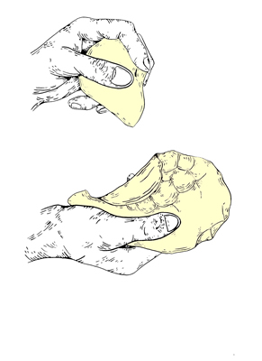 Elaboración de una hoja lítica mediante tallado a presión (dibujo Alex Olave).