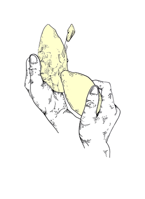 Elaboración de una hoja lítica mediante tallado a presión (dibujo Alex Olave).