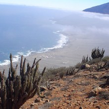Camanchaca disipándose a mediodía,vista desde el Mirador de Paposo,al norte de Taltal {foto cortesía Corporación Amigos del Museo Augusto Capdeville).