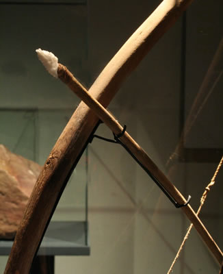 a) Estólica: Lanza-dardos .Madera y gancho de hueso. Costa de Taltal – Pescadores Tempranos. Colección Museo Augusto Capdeville.