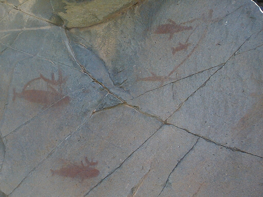 Pescadores cazando cetáceos