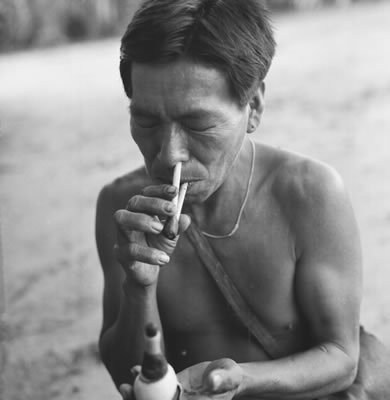 Chamán bará inhalando vihó, una sustancia alucinógena preparada con la corteza de un árbol (Virola sp.). El inhalador está hecho de huesos de ave y el contenedor del rapé, de un caracol. (Pirá-Paraná, Vaupés, Amazonía). Foto Gerardo Reichel-Dolmatoff (1968), Archivo Biblioteca Luis Ángel Arango, Banco de la República.