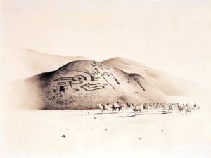 Caravana de llamas subiendo al altiplano por el valle de Azapa